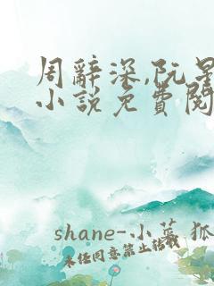 周辞深,阮星晚小说免费阅读无弹窗