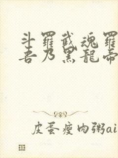 斗罗武魂罗三炮吾乃黑龙帝君