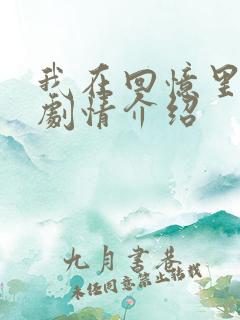 我在回忆里等你剧情介绍