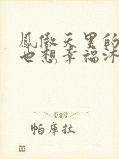 凤傲天里的黄毛也想幸福沐恩小说