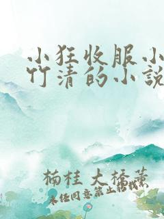 小狂收服小舞朱竹清的小说