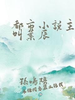 都市小说主人公叫叶辰