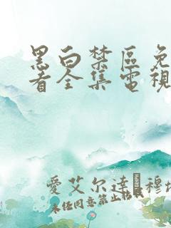 黑白禁区免费观看全集电视剧下载