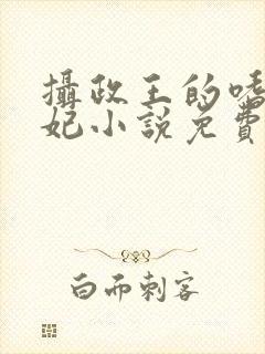 摄政王的嗜血宠妃小说免费