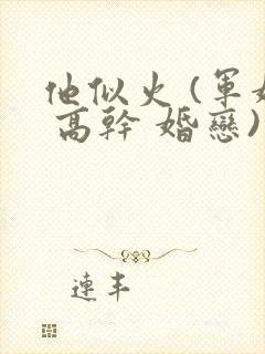 他似火 (军婚 高干 婚恋)小说