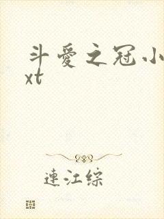 斗爱之冠小说txt