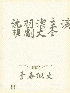 沈羽洁主演的电视剧大全