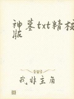 神墓txt精校版