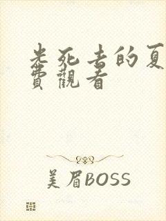 光死去的夏天免费观看