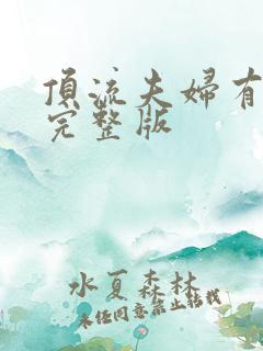 顶流夫妇有点甜完整版