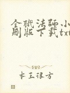 全职法师小说未删版下载txt