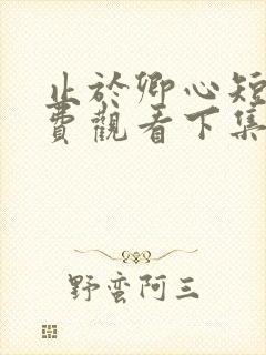 止于卿心短剧免费观看下集最新章节