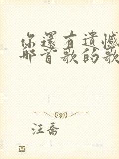 你还有遗憾吗是哪首歌的歌词