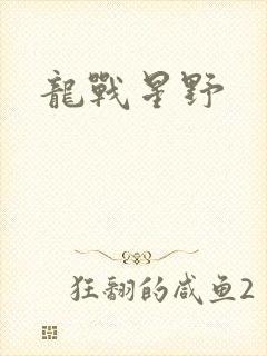 龙战星野