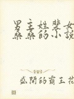 男主姓裴女主叫桑桑的小说