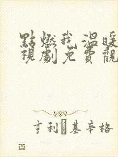 点燃我温暖你电视剧免费观看软件