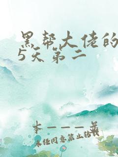 黑帮大佬的365天第二