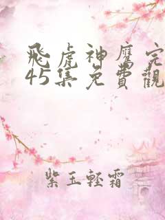 飞虎神鹰完整版45集免费观看