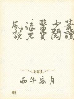 风流医少萧轩小说免费阅读