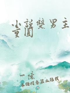 小说双男主破镜重圆