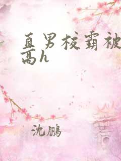 直男校霸被啪哭高h