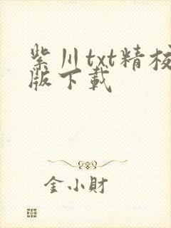 紫川txt精校版下载