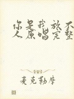 你是我放不下的人原唱完整版