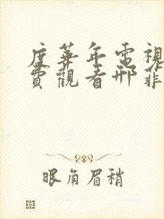 度华年电视剧免费观看邢菲