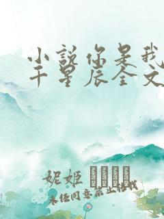 小说你是我的万千星辰全文免费阅读