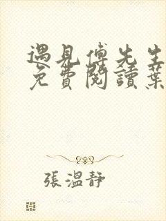 遇见傅先生全文免费阅读叶繁星