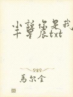 小说你是我的万千星辰txt