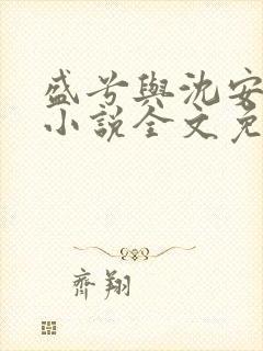 盛兮与沈安和的小说全文免费阅读