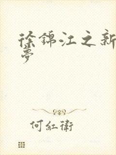 徐锦江之新红楼梦