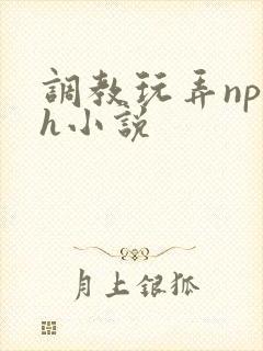 调教玩弄np高h小说