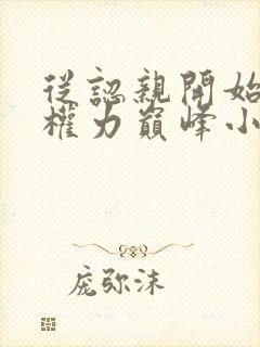 从认亲开始踏上权力巅峰小说