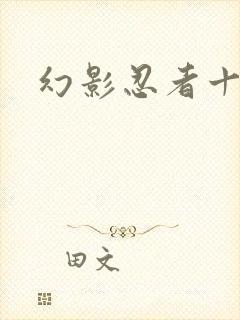 幻影忍者十九季