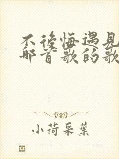 不后悔遇见你是哪首歌的歌词