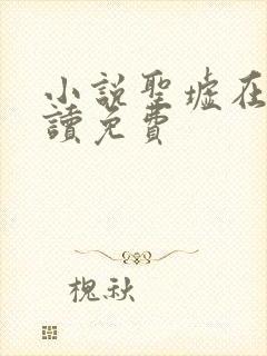 小说圣墟在线阅读免费