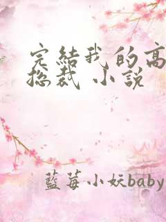 完结我的高冷女总裁 小说