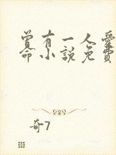 曾有一人爱我如命小说免费阅读