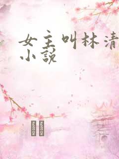 女主叫林清雅的小说