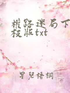 权路迷局下载精校版txt