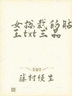 女总裁的贴身兵王txt三品