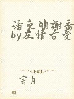 潘东明谢乔孽债by左情右爱