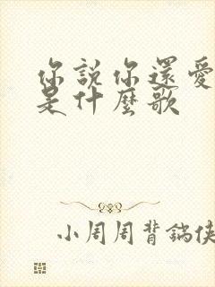 你说你还爱着我是什么歌