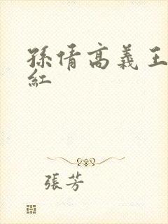 孙倩高义王申美红