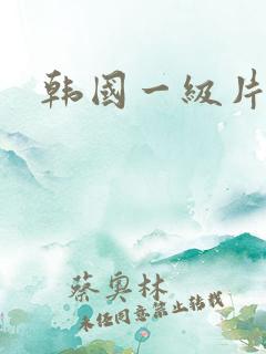 韩国一级片av