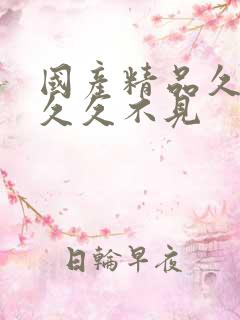 国产精品久久久久久不见