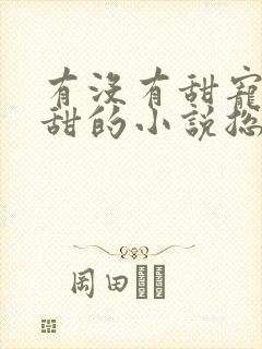 有没有甜宠文超甜的小说总裁文