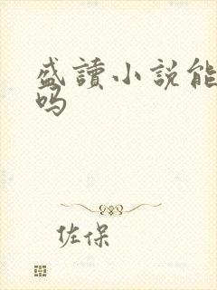 盛读小说能赚钱吗